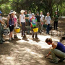 Study Abroad Reviews for Earthwatch: Italy - Discovering Italy’s Ancient Etruscan and Roman Coast