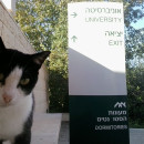 University of Haifa: Study Abroad at Haifa International School Photo