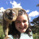 SIT Study Abroad: Madagascar - Traditional Medicine and Healthcare Systems (Summer) Photo