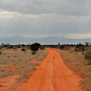 Study Abroad Reviews for University of Minnesota: Nairobi - Summer Engineering: The Power of Kenya