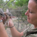 Study Abroad Reviews for Loop Abroad: Walkabout Wildlife Park - Veterinary Service in Australia Summer Program