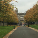 CEA CAPA Education Abroad: Dublin, Ireland Photo