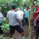 Study Abroad Reviews for Organization for Tropical Studies (OTS): Costa Rica - NAPIRE: Native American and Pacific Islander Research