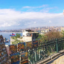 Middlebury Schools Abroad: Middlebury in Valparaiso Photo