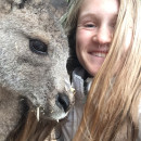 IES Abroad: Sydney Summer - Society, Sport & Leadership Photo