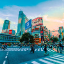 Study Abroad Reviews for International Business Seminars: Summer Japan