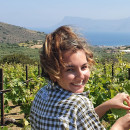 Study Abroad Reviews for Cerca Abroad: Greece – Agriculture & Viticulture Internship