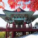 Study Abroad Reviews for The Experiment: South Korea - Korean Language and Culture