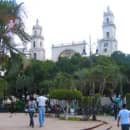 Study Abroad Reviews for ELI: Mexico - Volunteer Programs in Mexico