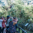 Study Abroad Reviews for Toucan Education Programs (TEP): Sustainable Economic & Community Development