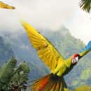 Study Abroad Reviews for CIEE: Monteverde - Tropical Ecology and Conservation