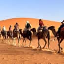 Study Abroad Reviews for CIEE: Rabat - Language and Culture