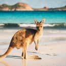 Study Abroad Reviews for CIEE: Semester in Sydney