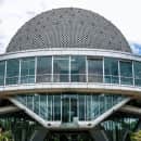 Study Abroad Reviews for CIEE: Abu Dhabi - Engineering, Technology + Sciences