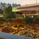 Study Abroad Programs in South Korea Photo