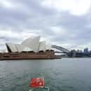 University of Sydney: Sydney - Direct Enrollment & Exchange Photo