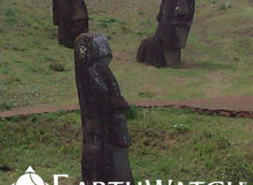 Study Abroad Reviews for Earthwatch: Chile - Restoring Easter Island's Forests
