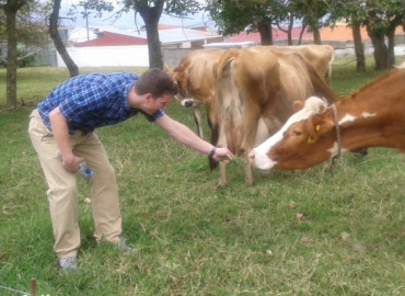 Study Abroad Reviews for AGLOCAM: Costa Rica - Agroecology Program