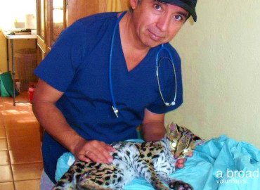 Study Abroad Reviews for Volunteer Guatemala Xela: Animal Rescue Program
