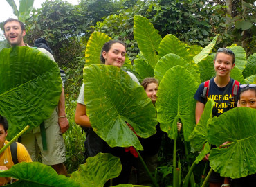 Study Abroad Reviews for Pacific Discovery: Central America Semester