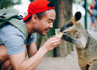 Study Abroad Reviews for IES Abroad: Sydney - Study Australia Summer