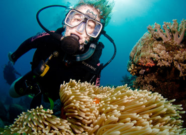 Study Abroad Reviews for IES Abroad: Sydney Summer - Society, Sport & Leadership