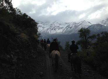 Study Abroad Reviews for WMU: Business and Culture in South America: Chile (Faculty-led)
