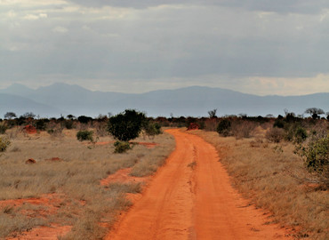 Study Abroad Reviews for University of Minnesota: Nairobi - Summer Engineering: The Power of Kenya