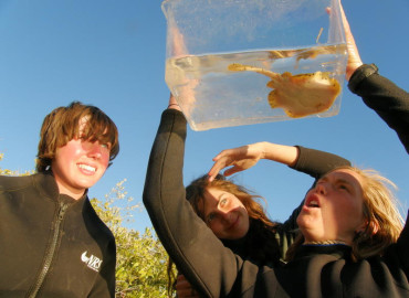 Study Abroad Reviews for Kino Bay Center for Cultural and Ecological Studies: Sonora - Marine Conservation Studies in Mexico