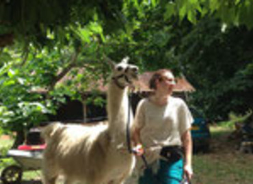 Study Abroad Reviews for Animal Transactions: Toulouse - Veterinary Internships in France