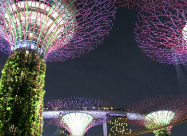 Study Abroad Reviews for WorldStrides Internships in Singapore