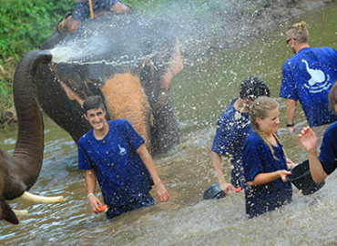 Study Abroad Reviews for CISabroad (Center for International Studies): Summer in Asia - Thailand & Cambodia