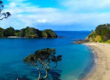 Study Abroad Reviews for Arcadia: Australia/New Zealand - Ecology of People, Place and Adventure