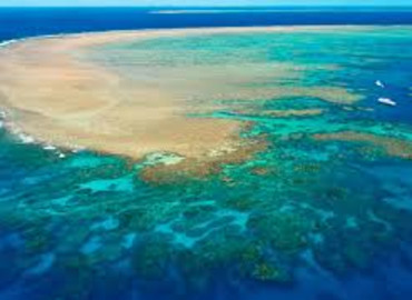Study Abroad Reviews for Learn International: Semesters in Australia