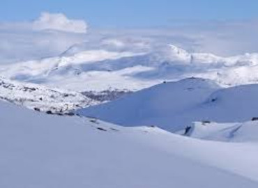 Study Abroad Reviews for Pacific Lutheran University: Study Abroad in Bø, Norway