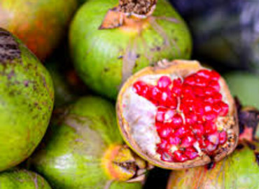 Study Abroad Reviews for SIT Study Abroad: Kenya - Public Health in the Tropics Internship