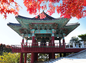 Study Abroad Reviews for The Experiment: South Korea - Korean Language and Culture