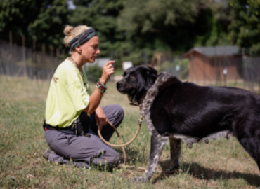 Study Abroad Reviews for Cerca Abroad: Greece - Wildlife Research