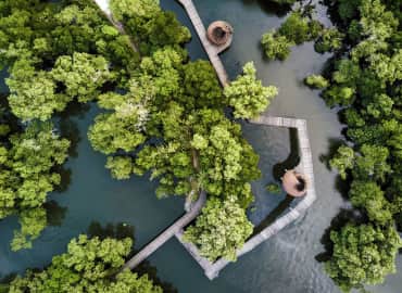 Study Abroad Reviews for CIEE: Semester in Singapore