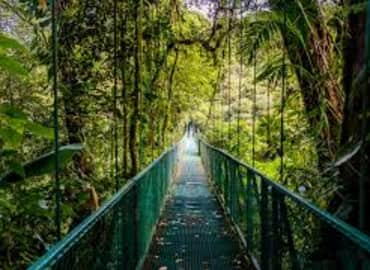 Study Abroad Reviews for CIEE: College First Year Abroad in Monteverde