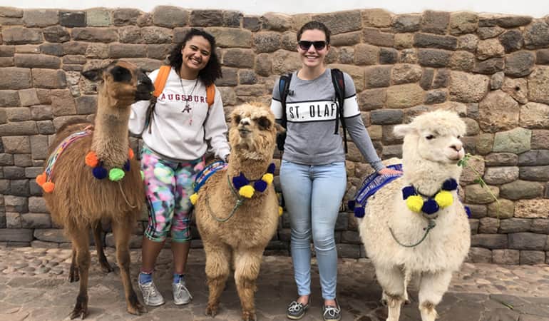 Study Abroad in IPSL