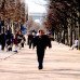 Photo of CIEE: Paris - French And Critical Studies