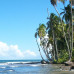 Photo of The School for Field Studies / SFS: Panama - Tropical Island Biodiversity Studies