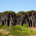 Photo of Earthwatch: Italy - Discovering Italy’s Ancient Etruscan and Roman Coast