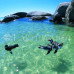 Photo of Earthwatch: South Africa - South African Penguins
