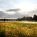 Photo of Brigham Young University: Germany Internships and Language Study