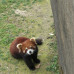 Photo of CISabroad (Center for International Studies): Intern in China
