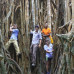 Photo of The School for Field Studies / SFS: Australia – Rainforest studies