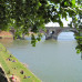 Photo of SIT Study Abroad: Reviews from Former Locations