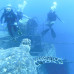 Photo of Sea|mester: S/Y Ocean Star - Caribbean Basin Voyages